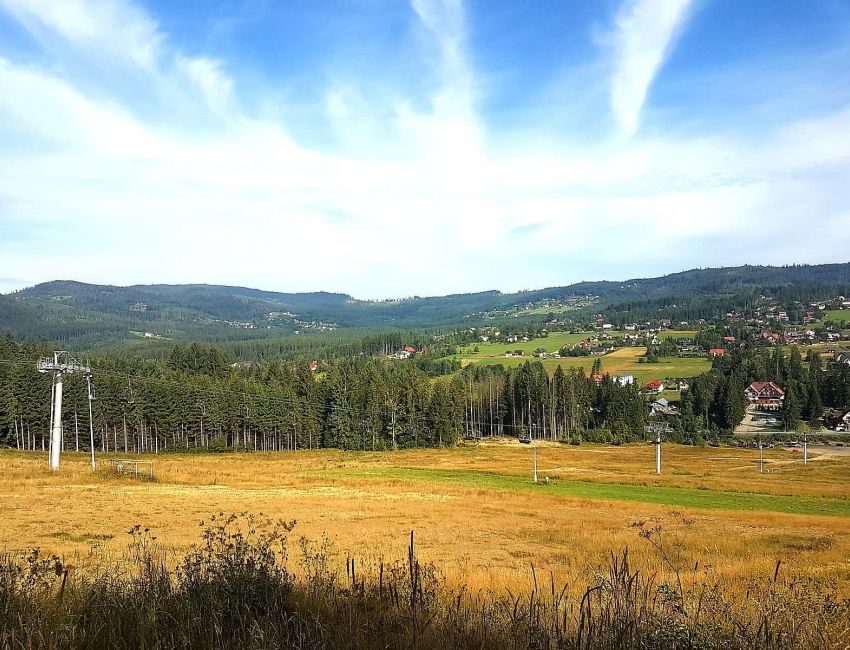 Wypożyczalnia rowerów, park linowy